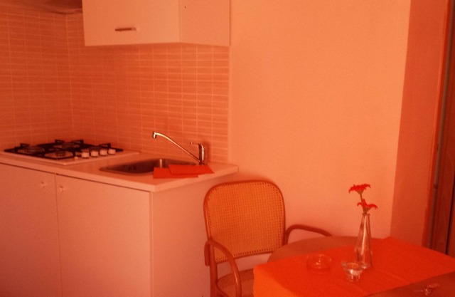 STUDY IN PRIVATE PARK