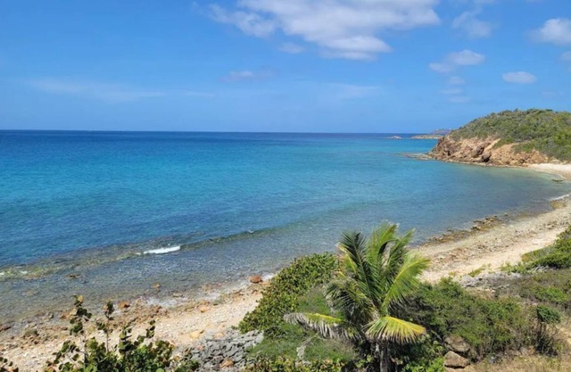 Stunning 1-Bedroom, 1-Bath Condo on the ocean!
