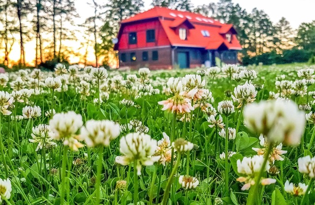 Stunning apartment in Gizycko with WiFi