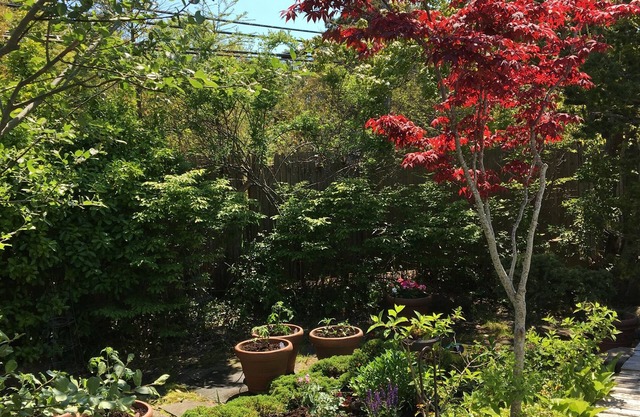 Stunning Fire Island Pines Oasis!