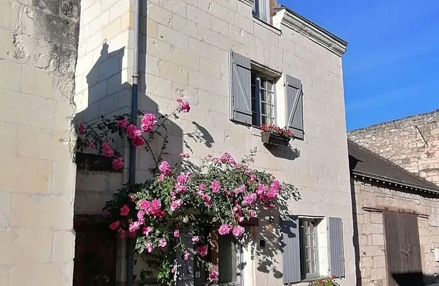 Stunning home in the beautiful village of Montsoreau in the Loire Valley. 4 star