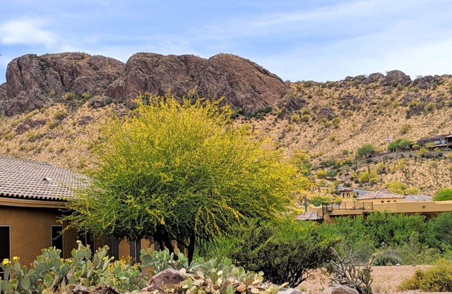 Stunning Mountain Views from this Gold Canyon Home!
