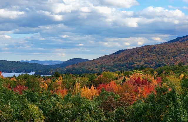Stunning views - minutes to Lake Sunapee Beach & Ski Base