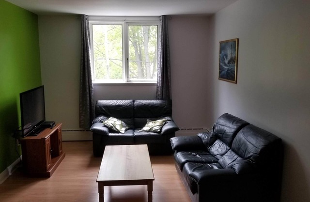 Superb condo very spacious downtown
