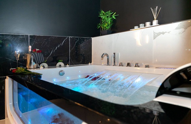 Suite Panthéon Maison de Ville Haut de Gamme Avec Jaccuzi et Sauna