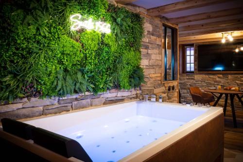 Suite & SPA 1566 Benfeld