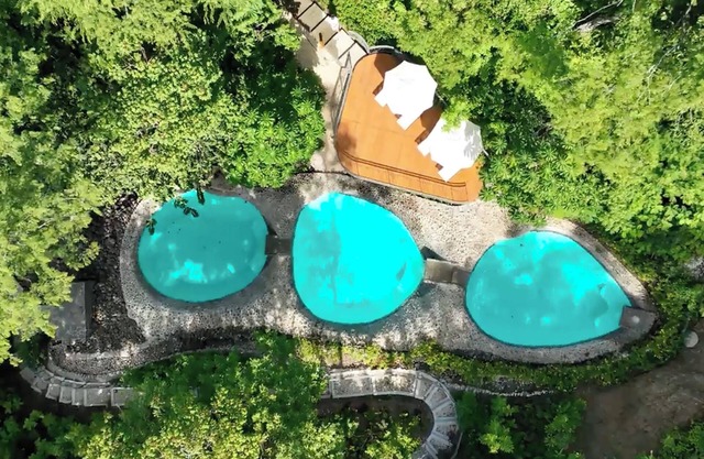 Suitree Experience Hotel