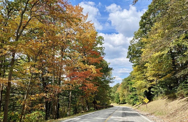 🍁 Summit Serenity | Laurel Highlands Retreat w/Hiking, Waterfalls & Fall Views
