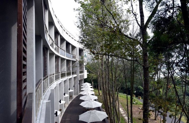 Sun Moon Lake Bamboorock Garden