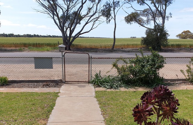 Sun on the Stubble - Rural outlook on the edge of town