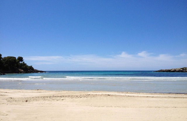 Sunny Apartment in city center at walk distance from the sea, museums, shopping