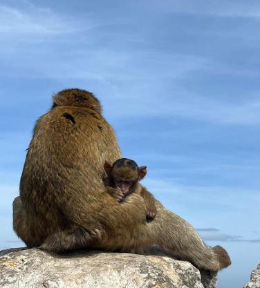 Sunny Gibraltar
