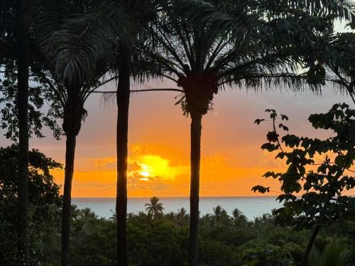 Sunrise Paradise