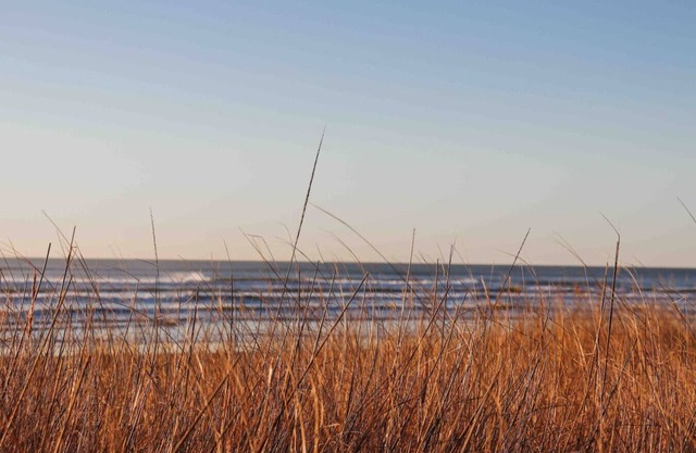 Sunset Shores - Oceanfront Stay