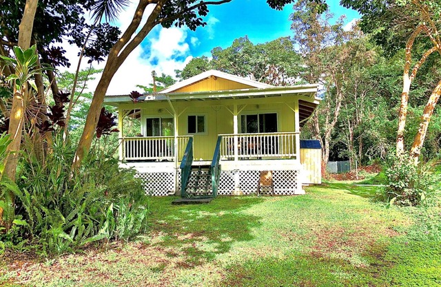 Sunset Suzy's tropical retreat! One free night! After 7 nights.
