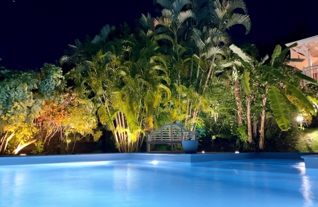 Superb F2 in a tropical garden near the white sandy beach