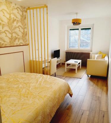Superbe Appartement en plein centre-ville de Crépy