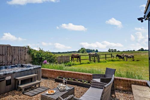 Swallows Return - Colkirk