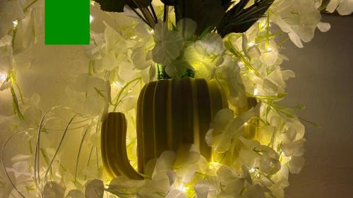 Swarga Fireflies Swarm Duo