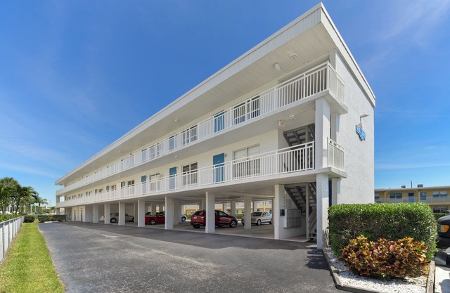 Swaying Palm Trees; Warm Gulf Breeze