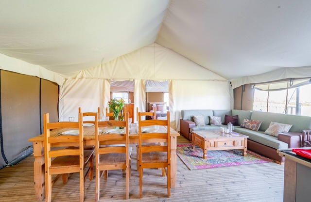 Swift at Sweffling Hall, Suffolk