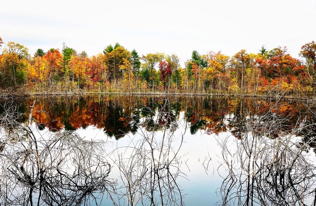 Swimming,boat,kayak,fish,BBQ,ATV,hike,Huge Deck,pets,Nordic MT- ski,tube,private