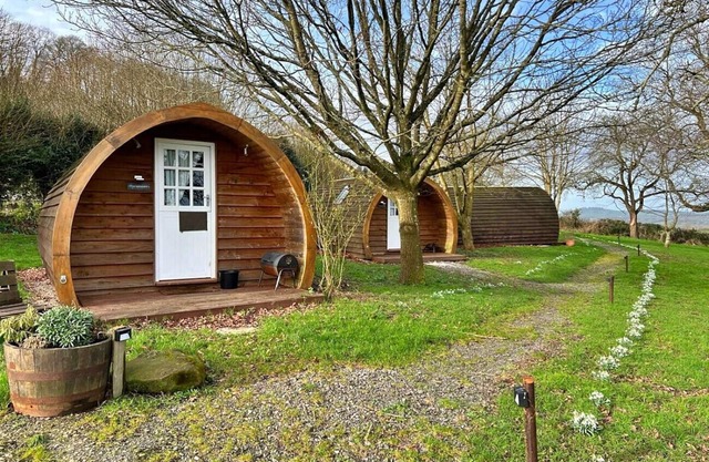 Sycamore Glamping Pod