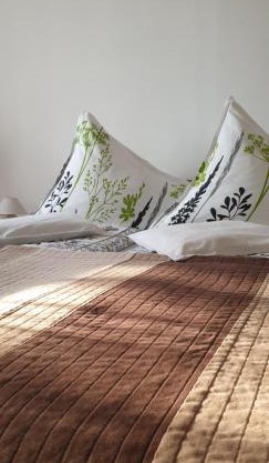 Tópart Apartman