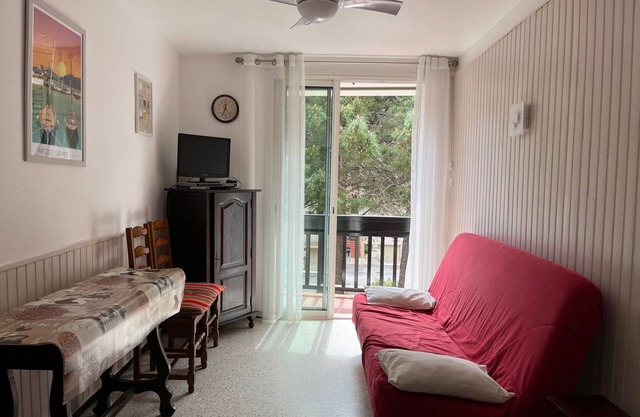 T2 IN ARGELES BEACH - 100m FROM THE BEACH
