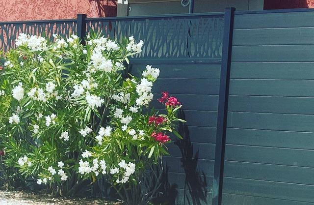 T2 la capte 100 m from the beach