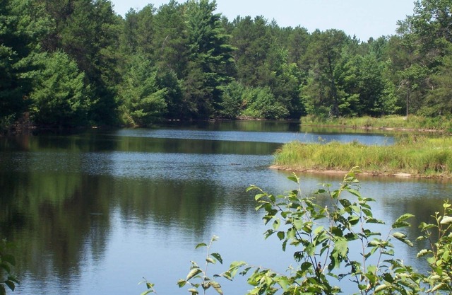 Tall Pines Lodge- Cottages On Serenity Lake- Sitting on 80 Acres Of Wildlife!