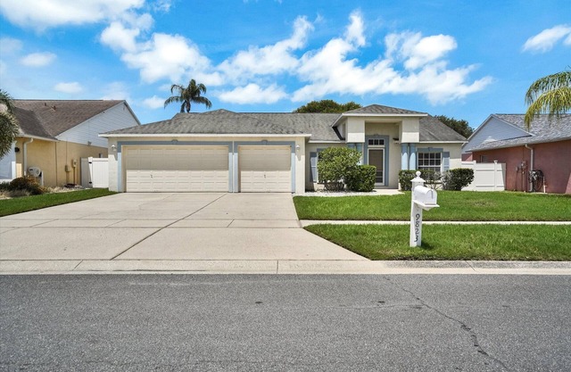 Tampa Paradise For All Occasions