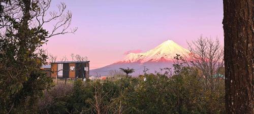 Taranaki Creekside KIWI by Tiny Away