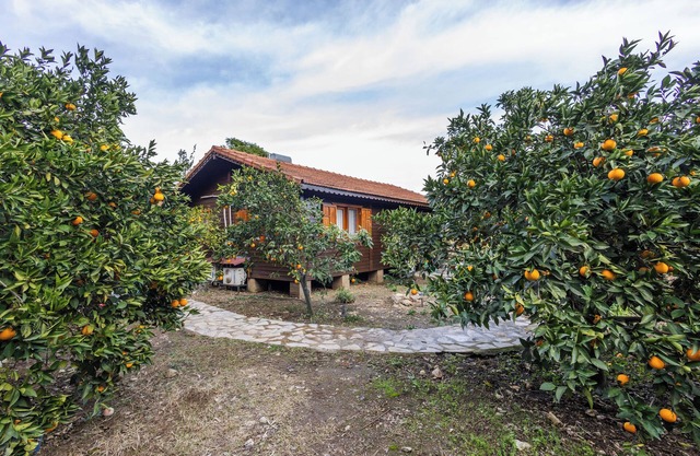 tatil evi dilek çıralı türkiye