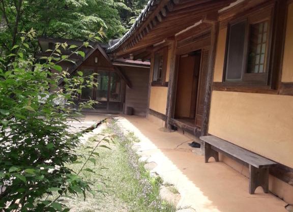Tea Field Guest House