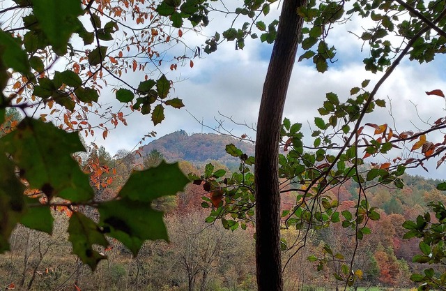 Tentrr Signature Site - Sunrise View