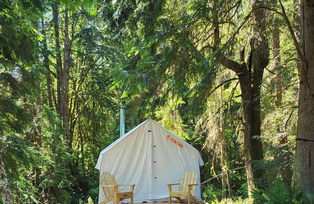 Tentrr Signature Site - Fern Gully Site 1