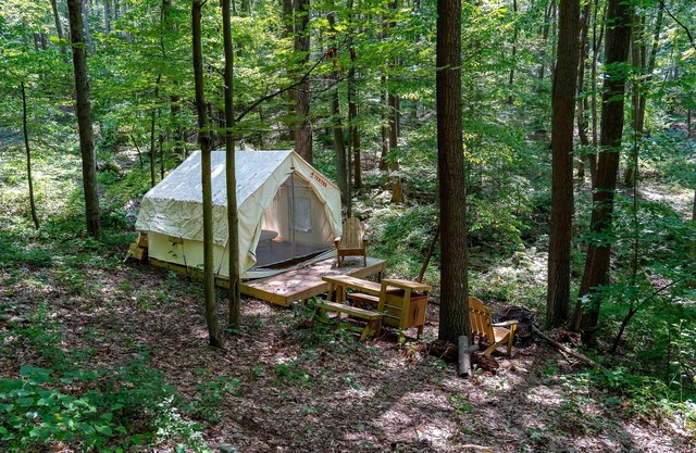 Tentrr State Park Site - WV Coopers Rock State Park - Site D - Single Camp