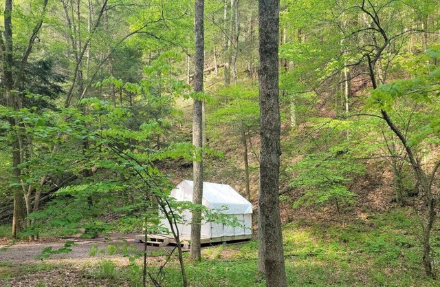 Tentrr State Park Site - Big Run State Park - Site B