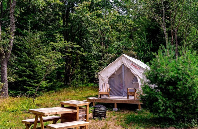 Tentrr State Park Site - WV Blackwater Falls State Park - Site D - Single Camp "
