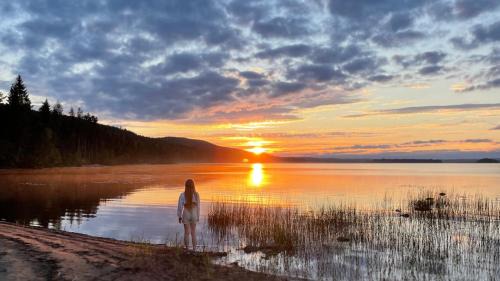 Tentsile Kiparinranta