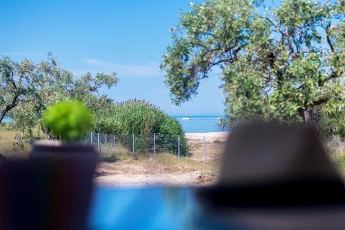 Terra di Olive Thassos