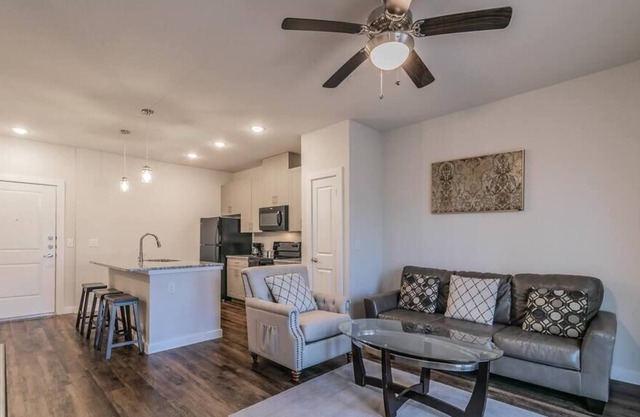 Texas Corporate Housing Professional Apartment
