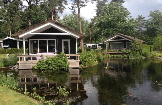 Thatched Home by Pond in Holiday Park