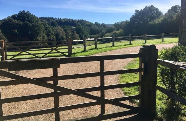 The Annex is in the beautiful Ashdown Forest