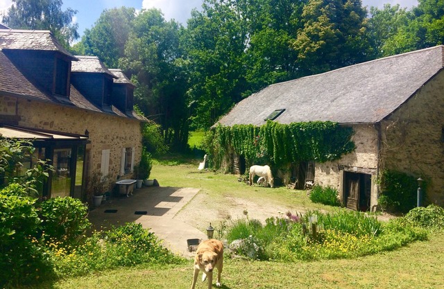 The beylie, Typical set of Limousin