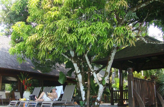The Bali House at the beach, the best house and the best location by far !