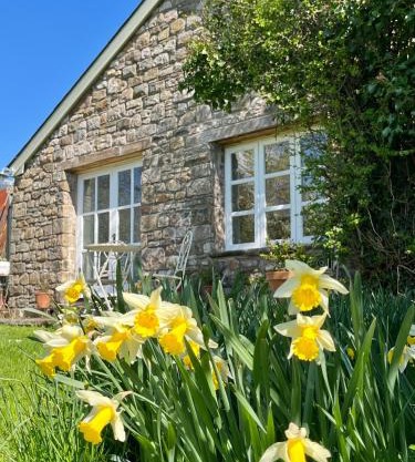 The Billiard Room - Cosy Country Retreat
