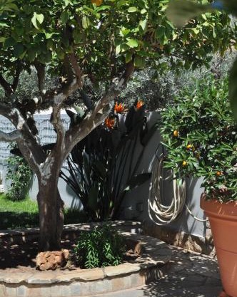 The BloomYard
