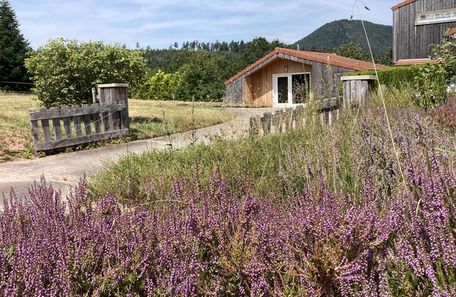 The Chalet in Nature